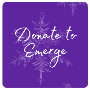 button for making a monetary donation to Emerge