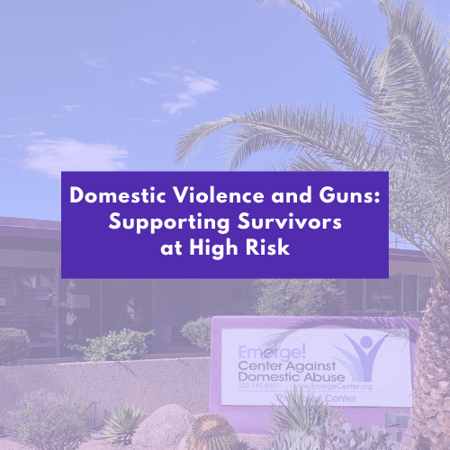 Post Cover Photo with title "Domestic Violence and Guns: Supporting Survivors at High Risk". The text appears to be overlayed over a photo of the Emerge administrative building.