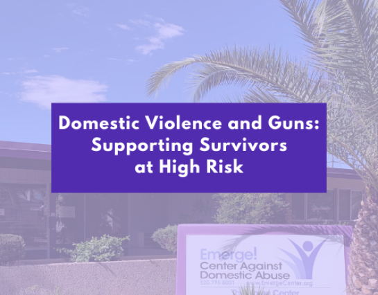 Post Cover Photo with title "Domestic Violence and Guns: Supporting Survivors at High Risk". The text appears to be overlayed over a photo of the Emerge administrative building.